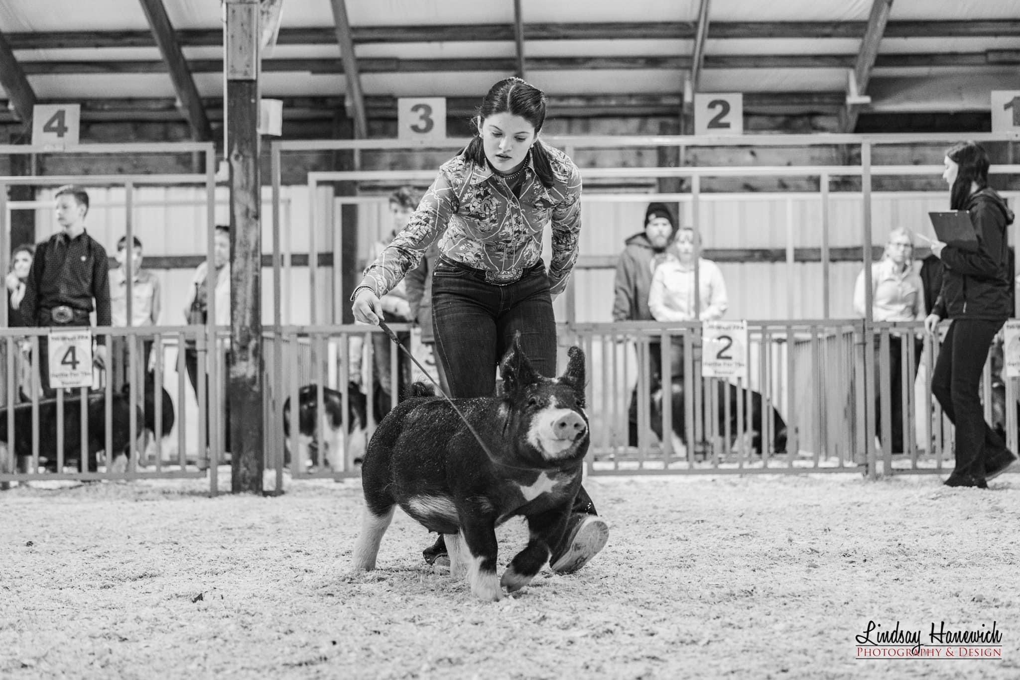 Herdlinq picture of girl showing pig
